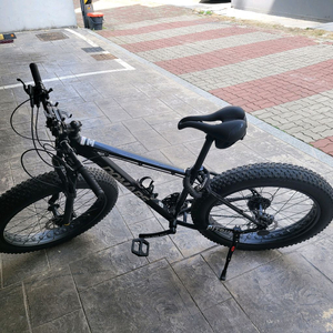 도마스핏불 팻바이크