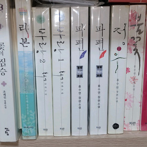 홍수연 작가님 소설책