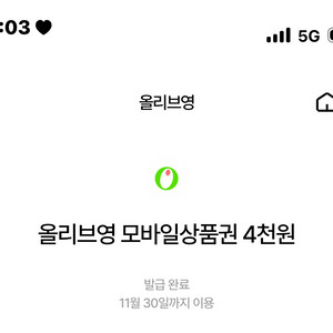 올리브영 모바일상품권4천원