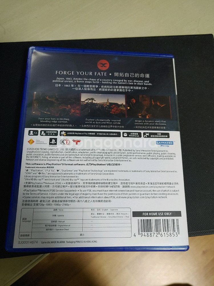 PS5 라이즈오브로닌--2