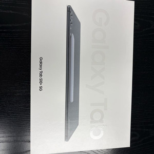 갤럭시탭 S10플러스 5G 256g 그레이