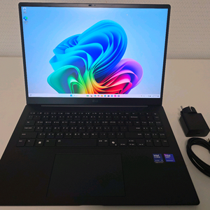 2025 LG 그램 프로 16 메타그레이, 루나레이크