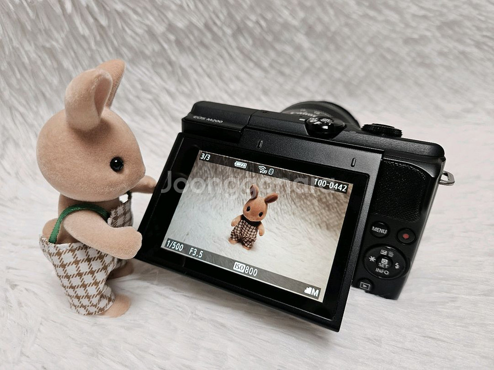 [민트] 캐논 EOS M200 미러리스, 디카 카메라--5