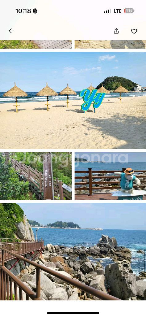 양양 봄날하우스 숙박 호텔 레지던스 오늘 3시입실--5