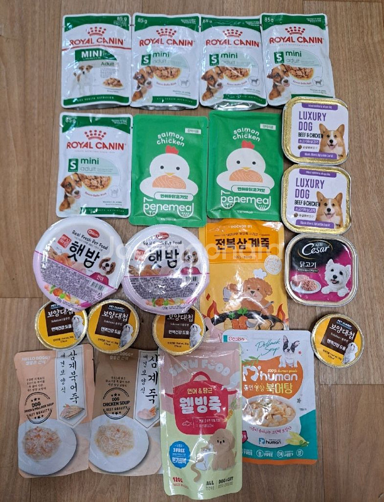 강아지 파우치.캔 일괄--0