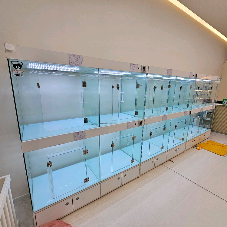 강아지분양장 이미지