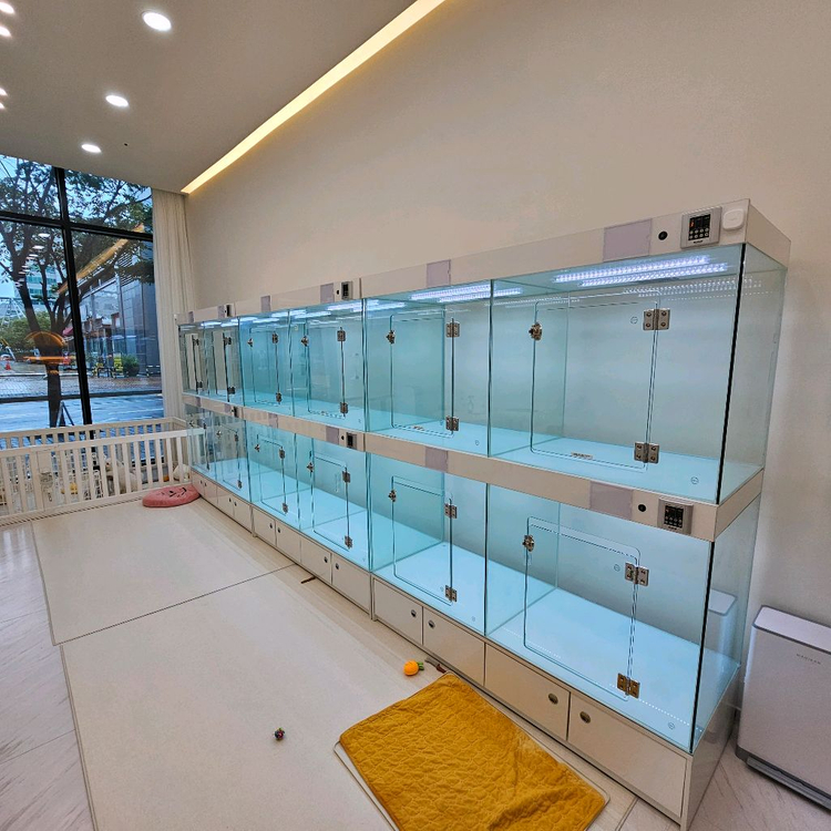 강아지분양장 이미지