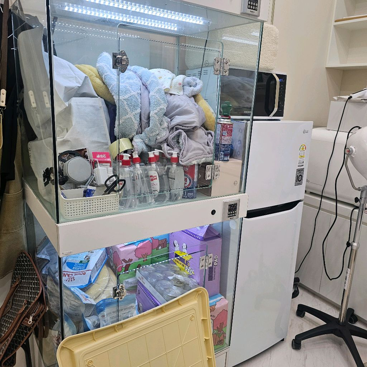 강아지분양장 이미지