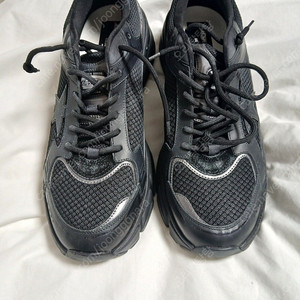 골든구스 남성 라이트스타 43 사이즈 판매 정품