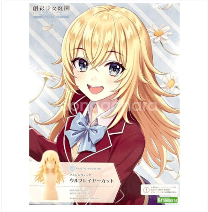 삽니다!) 창채소녀정원 애프터 스쿨 울프 레이어 위그--0