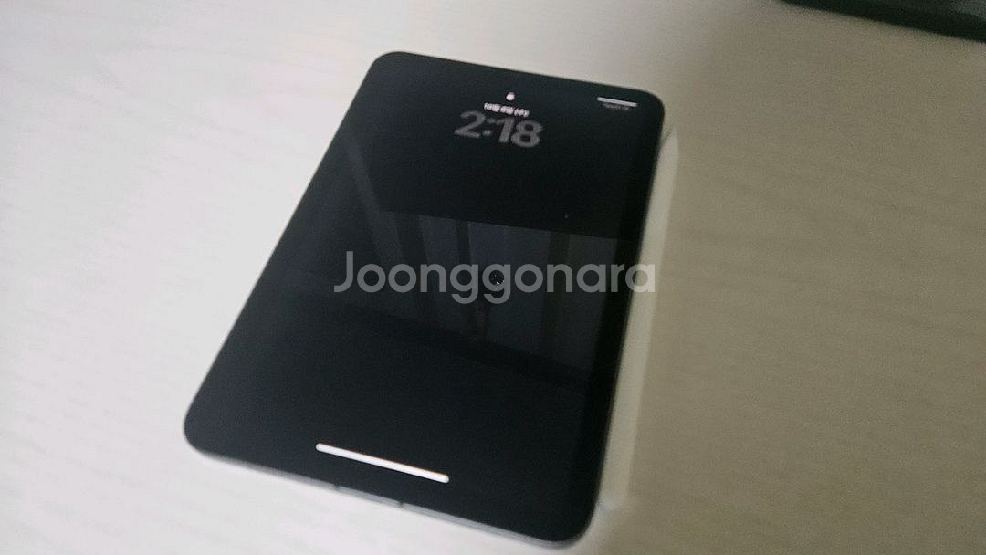 아이패드 미니6 스그 셀룰러 256g 애플펜슬 판매--0