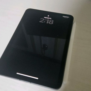 아이패드 미니6 스그 셀룰러 256g 애플펜슬 판매