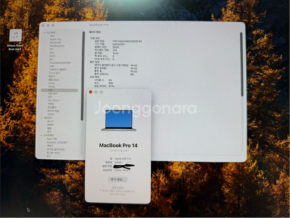 맥북프로 14 M4 Pro 고급형(풀칩+1TB) 실버--2