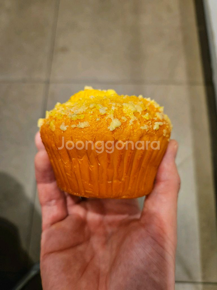 머핀 브래드 모형 빵모형--1