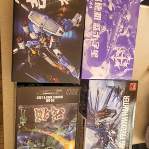 대륙 HG 4종 이미지