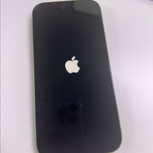 아이폰17 256G 세이지 자급제