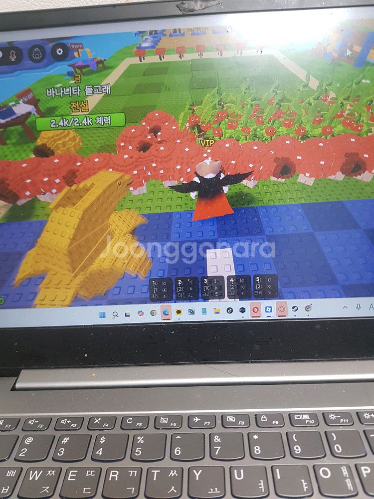 식물 대 브레인롯 버섯개당 500원 재고무제한))--0