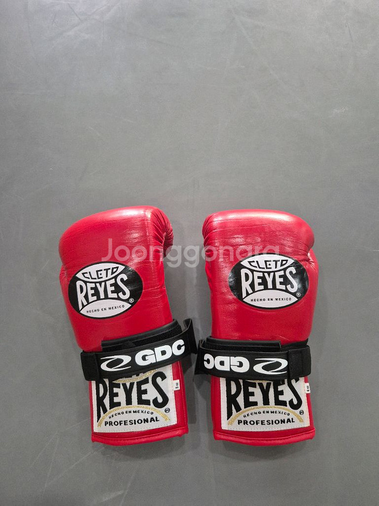 레예스 복싱 글러브--0