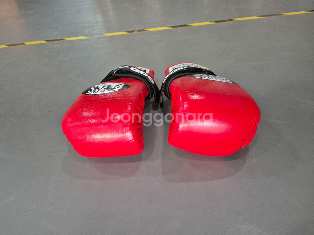 레예스 복싱 글러브--2