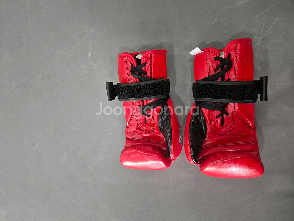 레예스 복싱 글러브--1