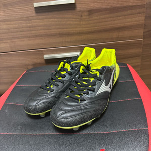 [270] 미즈노 모나르시다 네오 JPN