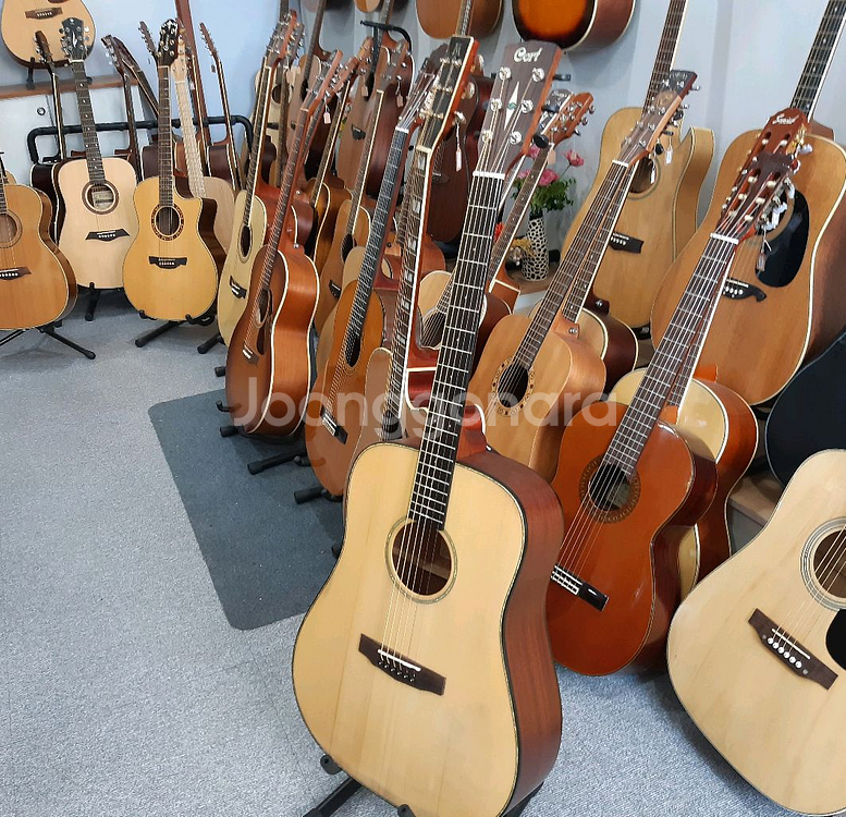 콜트 통기타 어스 E 탑솔리드--1