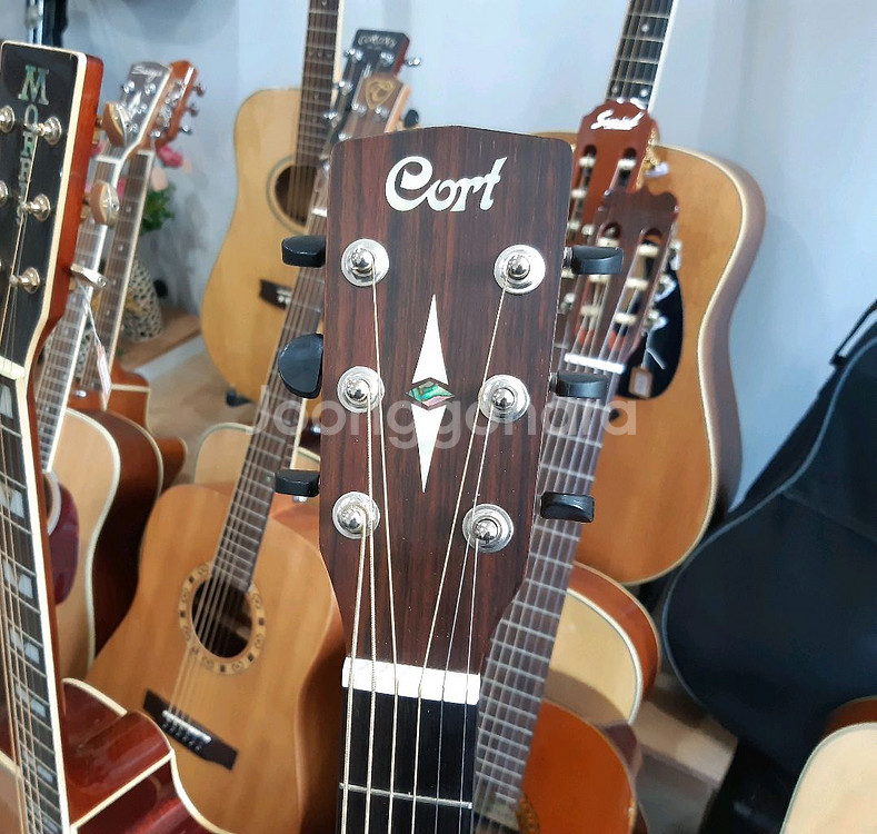 콜트 통기타 어스 E 탑솔리드--3