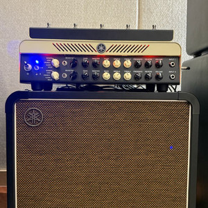 Yamaha THR100HD+THRC112+케이스