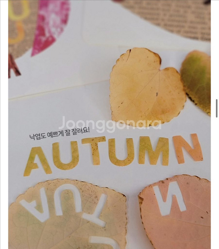 학교연구소 글자펀치 | 알파벳펀칭기 셋트 판매--5