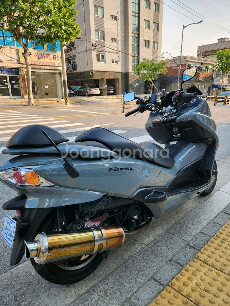 포르자250 Mf10 일본생산판매합니다.--2