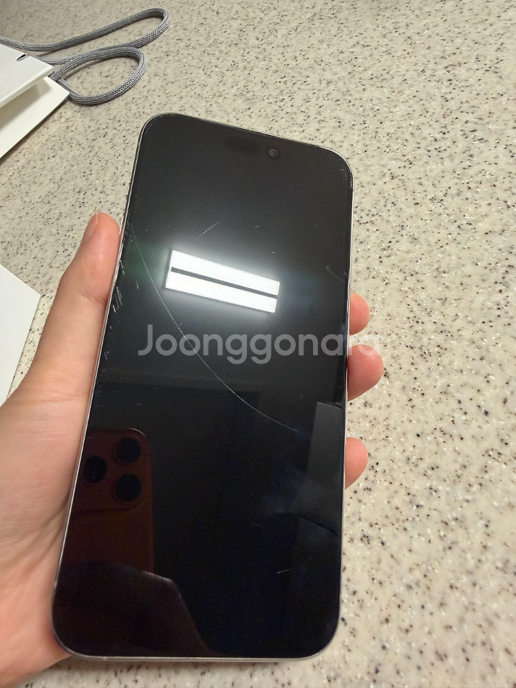 아이폰 15 프로맥스 실버 256GB / 애플케어플러스--6