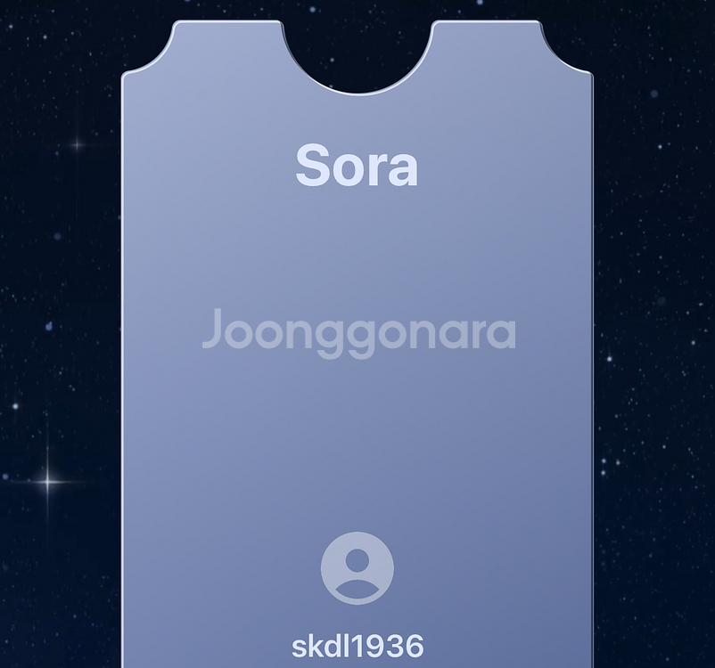 소라2 sora2 초대코드 팝니다--0