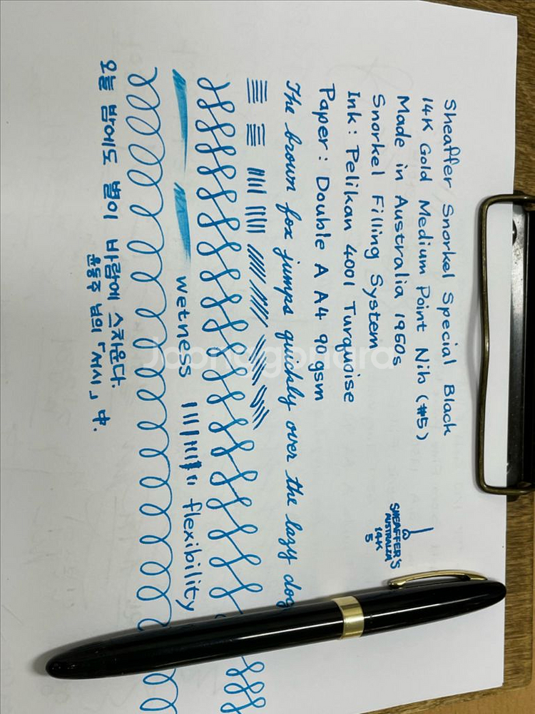 쉐퍼 만년필 스노클 스페셜 블랙 14K M닙--9