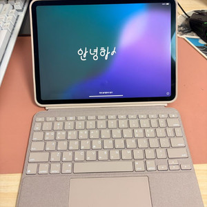 아이패드 프로 3세대 11인치 m1 128기가 스그 와