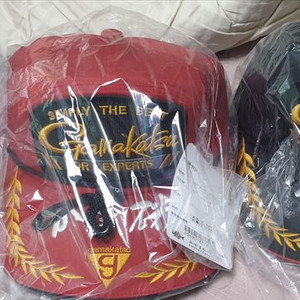 가마가츠 gm-9124