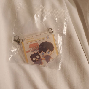 하이큐 산리오 콜라보 카게야마 양도