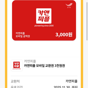 카앤피플 금액권 3000원