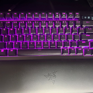 razer 블랙위도우 v4 pro 75%