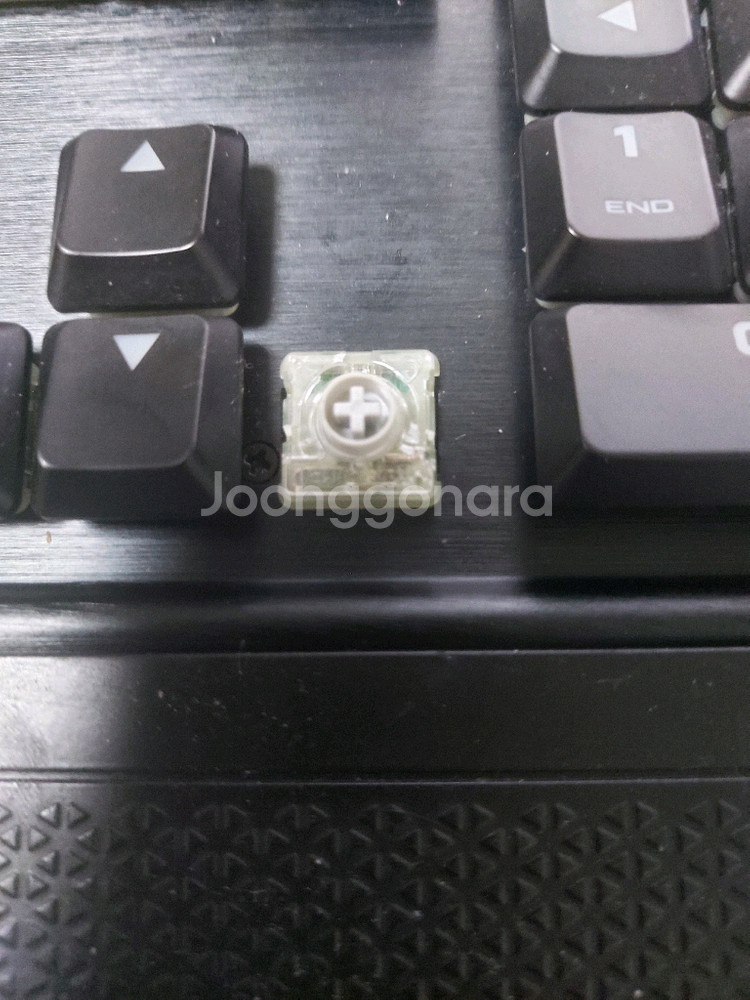커세어 K70 RGB MK.2 LP 은축 영문판--4