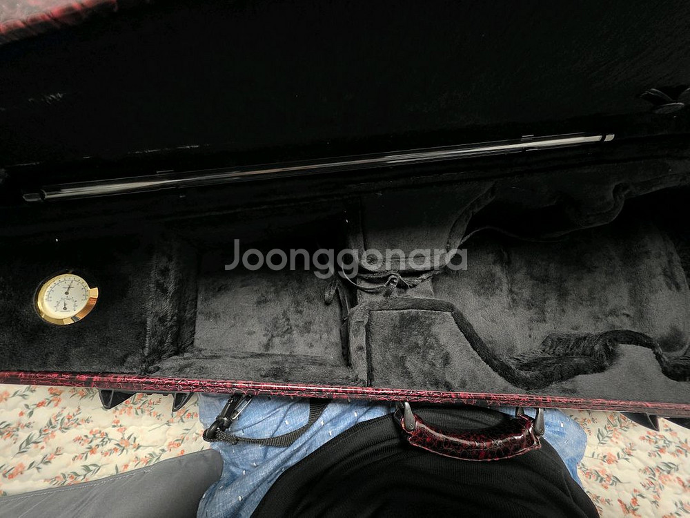 바이올린 케이스--2