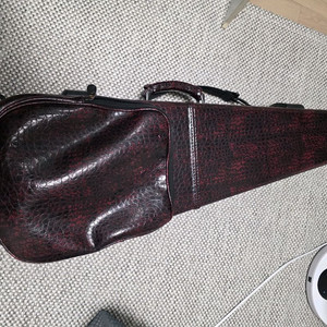 바이올린 케이스