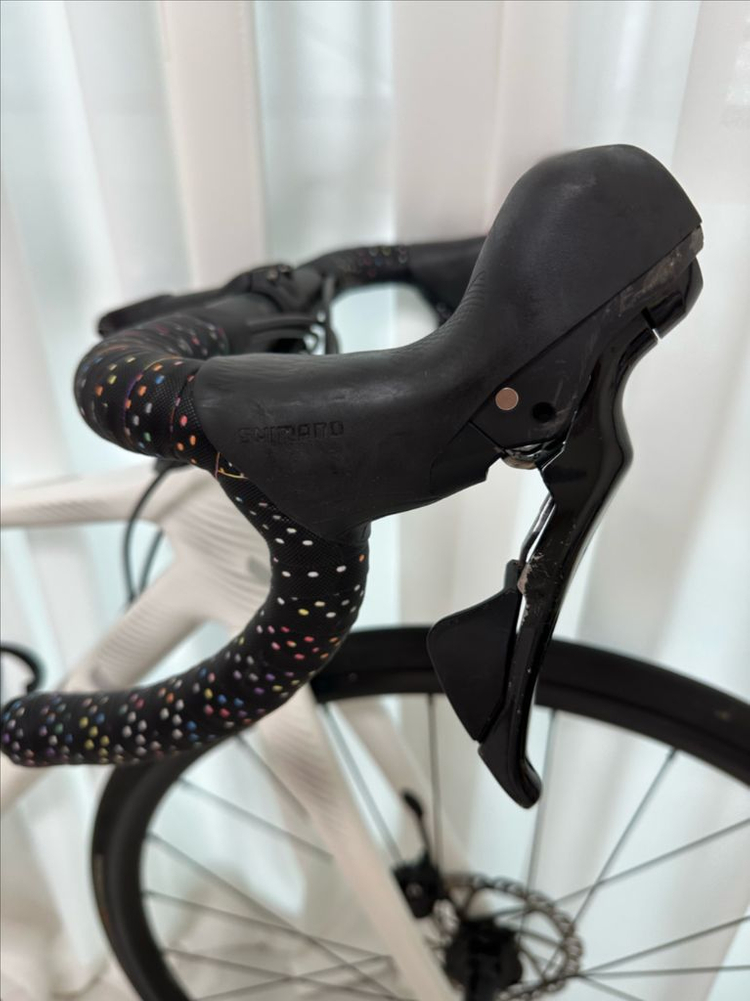 2022 자이언트 리브 랑마 어드밴스 2 디스크 QOM 이미지