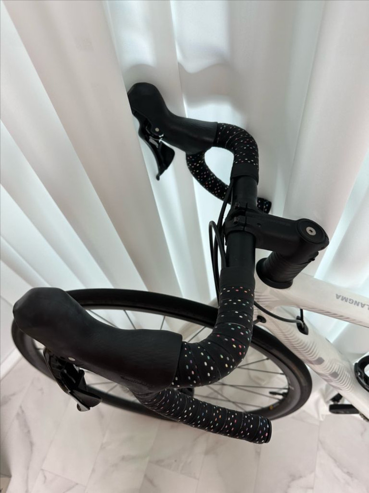 2022 자이언트 리브 랑마 어드밴스 2 디스크 QOM 이미지