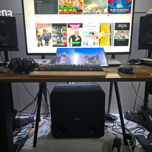 Focal alpha 50 evo + sub one 포칼 알파50에보 + 서브원