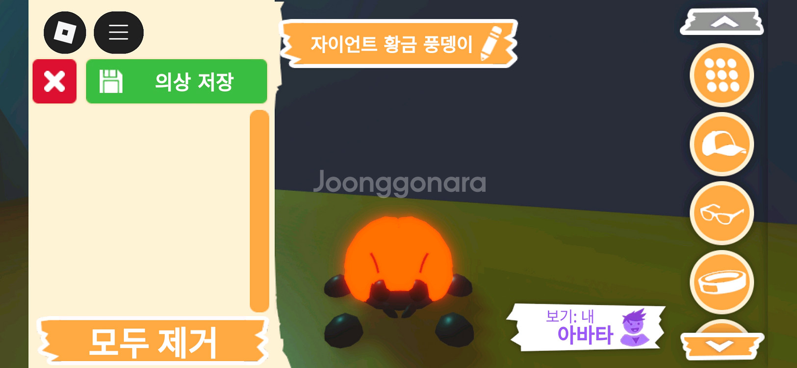 입양하세요 펫 메가네온 자이언트 황금 풍뎅이 판매힙니다--0