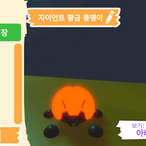 입양하세요 펫 메가네온 자이언트 황금 풍뎅이 판매힙니다