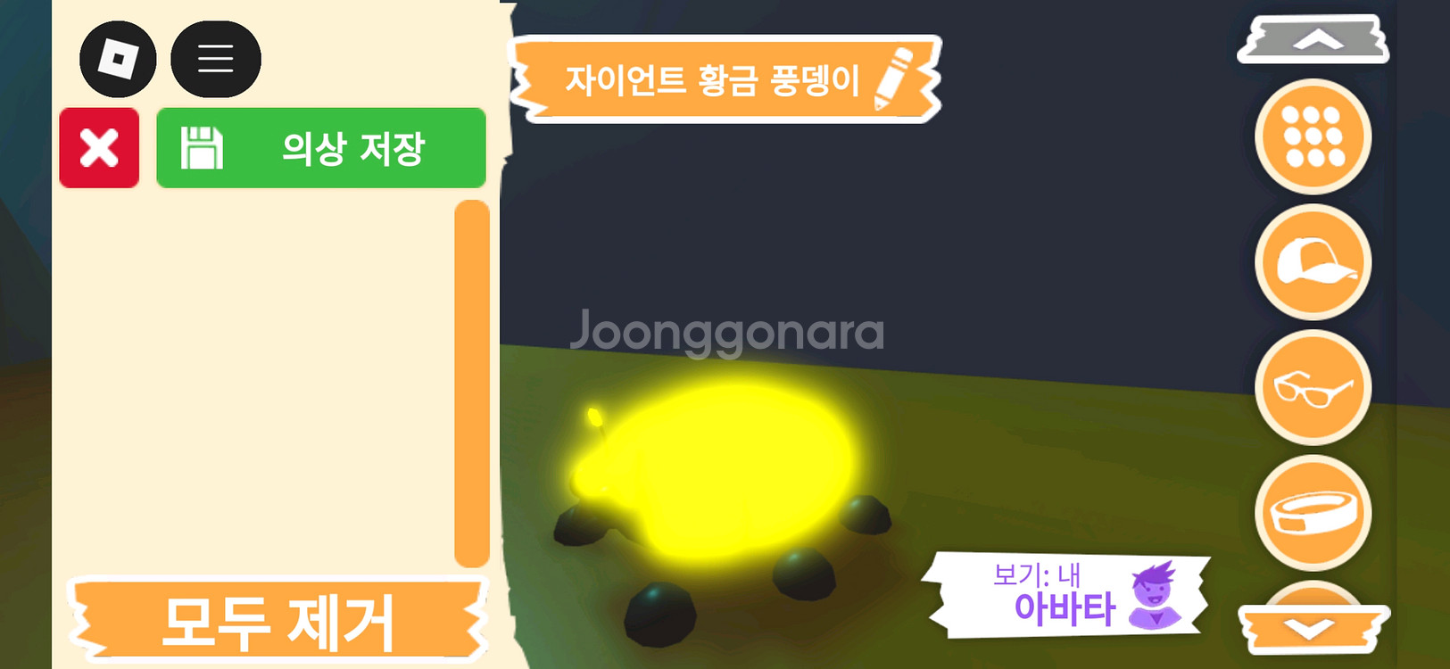 입양하세요 펫 메가네온 자이언트 황금 풍뎅이 판매힙니다--2