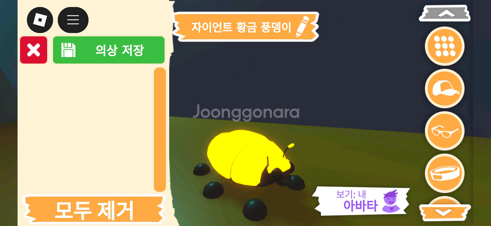 입양하세요 펫 메가네온 자이언트 황금 풍뎅이 판매힙니다--1