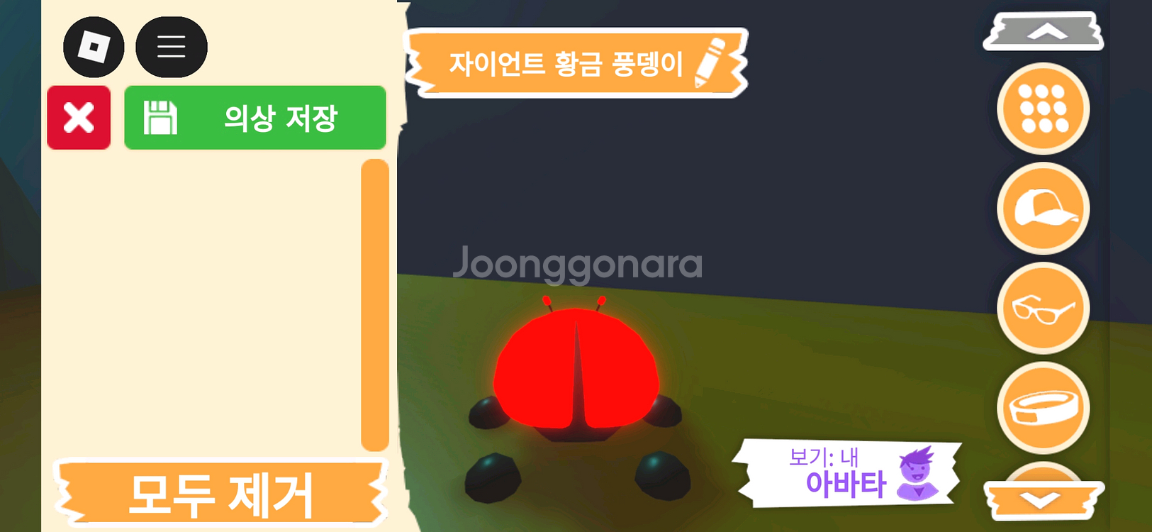 입양하세요 펫 메가네온 자이언트 황금 풍뎅이 판매힙니다--3