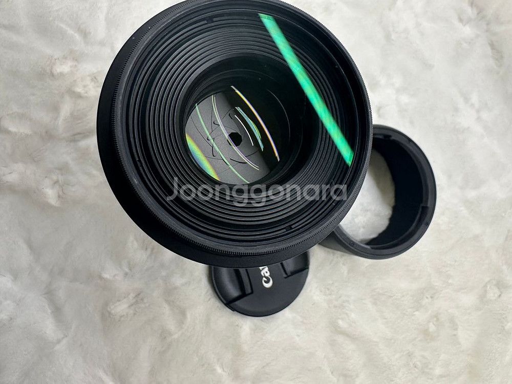 Canon RF 100mm F2.8 L Macro IS--2